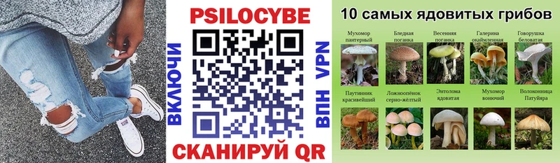 Галлюциногенные грибы MAGIC MUSHROOMS  Михайловка 