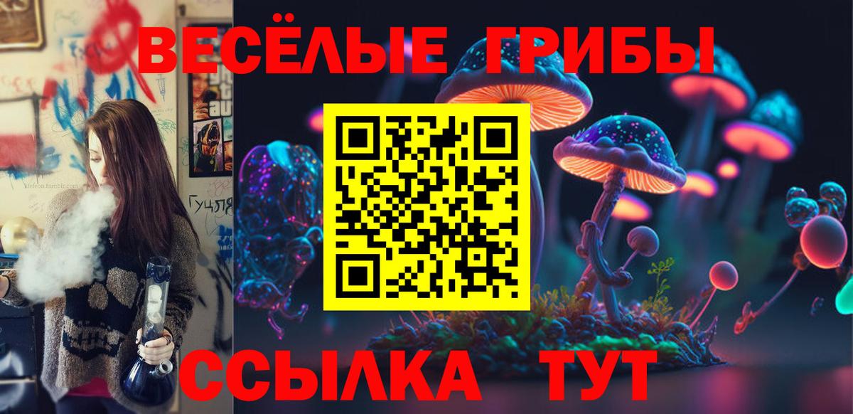 Галлюциногенные грибы MAGIC MUSHROOMS  Вход с VPN  Михайловка 