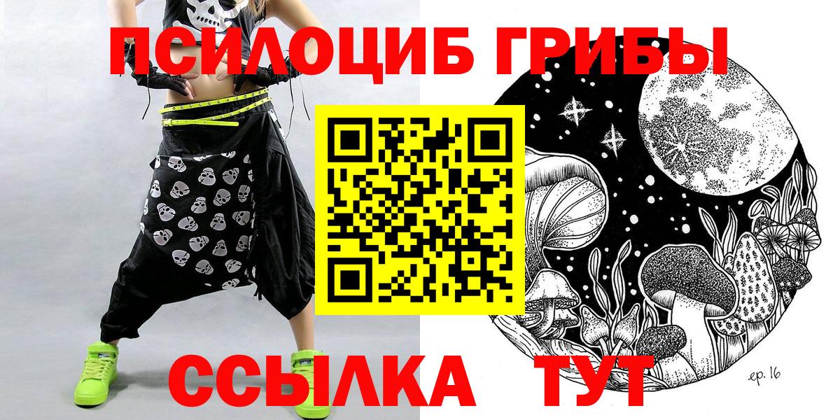 Галлюциногенные грибы Psilocybe Михайловка