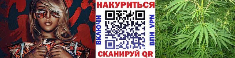 Конопля план Михайловка